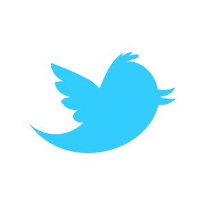 Twitter logo for website