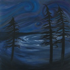 Franklin -Chesterman Storm, 2008 